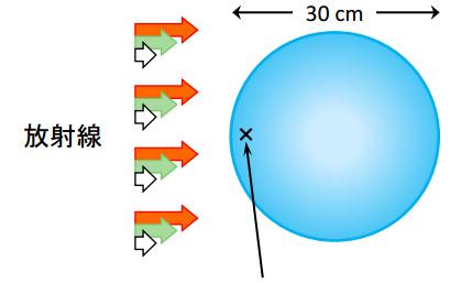 放射線の単位 実効線量と線量当量の値の違い 実効線量 ( 回転照射 ) サーベイメータで測定される周辺線量当量は 直径 30cm の ICRU 球の深さ