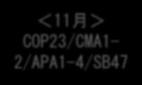 月 > COP23/CMA1-2/APA1-4/SB47 実施指針等のアウトライン