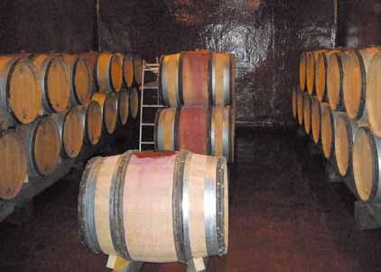 フレールの特別製の新樽を贅沢に使い 10 14カ月の比較的短い熟成でワインを醸しています この樽を 100% 使用しているのは DRC ルロワ コントラフォンなど