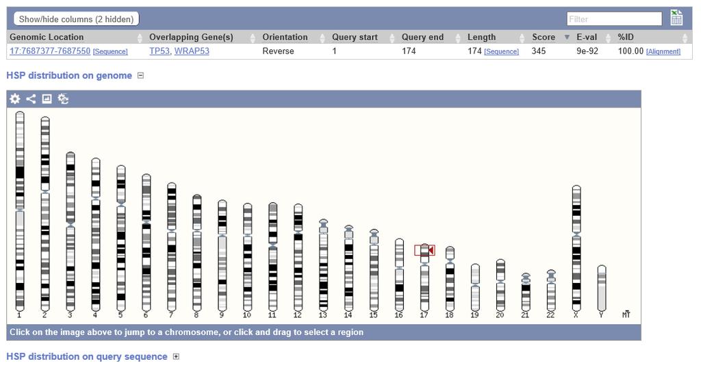 解析ヒット遺伝子正鎖か逆鎖かゲノムのヒット位置 E 値 染色体マップ上の位置 Choose