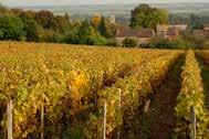 France / Bourgogne, Côte Chalonnaise Domaine Desvignes ( ドメーヌデヴィーニュ ) Eric & Gautier Desvignes は ジブリの地で 1870 年から 5 世代続いている家族経営の生産者 ボーヌでワイン造りを学び幾つかのワイナリーでインターンを務めたエリックは 1983 年にドメーヌに合流します