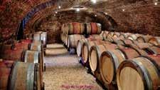 葡萄栽培者とワイン醸造者との間で完全な共有と信頼の生まれる瞬間です いつも未来のヴィンテージの誕生が楽しみです! ジヴリブラン Givry Blanc 2017 750 白 12 4,300 2019 年秋以降入荷 100% シャルドネ ステンレスタンクで発酵 熟成 アルコール 13.
