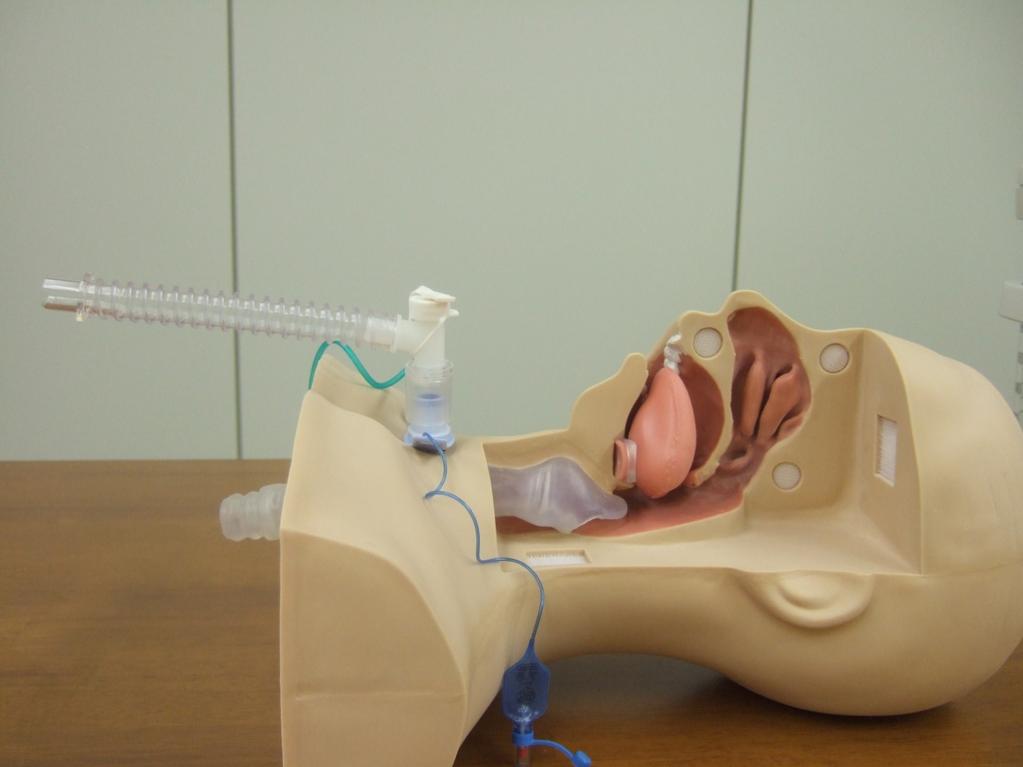 侵襲型人工呼吸器使用者の状態 フレキシブルチューブ コネクター 気管カニューレ 侵襲型人工呼吸器を使用している利用者の場合