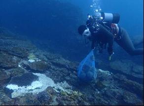 藻場の再生 竜串湾内にある藻場を再生するため ウニ駆除を実施し モニタリングを行っています