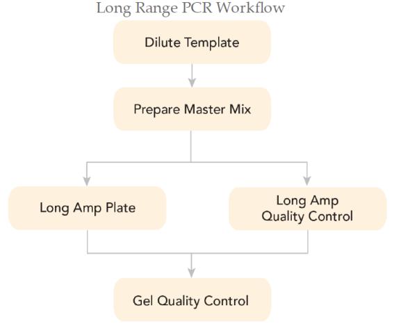 Part 2 - Long range PCR Long range PCRとクオリティチェック 8-10kb に断片化 Long range PCR ライブラリ作成 ライブラリー調製用のプレートと QC 用のプレートを用意 384 rxn 5 ul MM per well One QC rxn 50 ul MM Workflow DNA Seeding Concentration Number