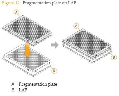 Part 3 短い DNA ライブラリーの作製酵素反応による断片化 8-10kb に断片化 Long range PCR ライブラリ作成 FPR プレートには穴が開いているので 遠心すると各ウェルに分注した酵素ミックスが穴から下 (LAP プレート