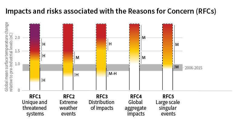 懸念材料 (RFCs) に関連する影響及びリスク