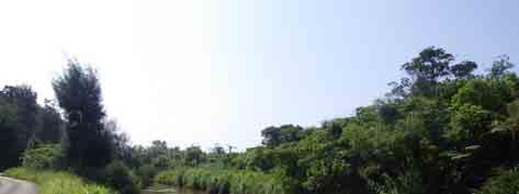 ) における河道の変遷 ( 昭和 年 平成 3 年 ) 昭和 55 年頃に行われた河道付け替え工事により