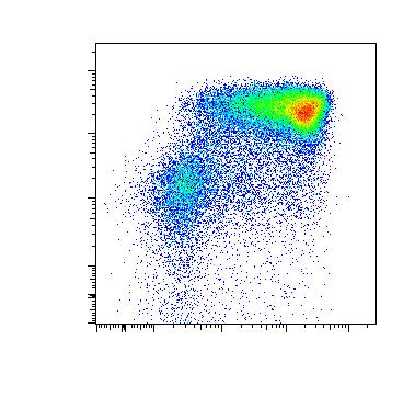 T-iPS 細胞から成熟 T 細胞の分化誘導 0 13 35 CD3 6