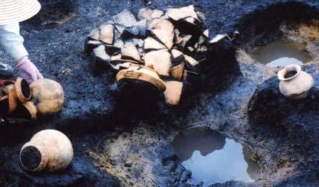 ヒジアナイセキ肱穴遺跡 7 終わりから弥生初めごろの石斧 土を掘る道具かもしれない ID 49