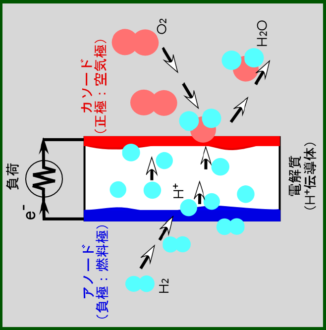 燃 料 電 池 の 基 本 構 成 技 術 要 素 電 極 ( 負 極, 正 極 ) 電 気 化 学 反 応, 触