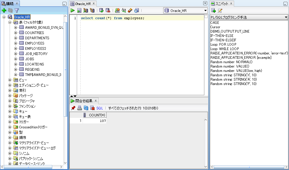 SQLの 作 成 基 本 画 面 オブジェクトやコードの 書 き 方 を 確 認 しながら 開 発 が 可 能 SQL Worksheet