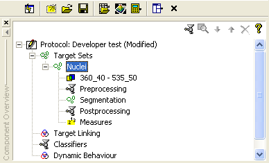 Target Set の 作 成 Developer Toolbox の 解 析 プロトコールプロトコールでは イメージ 中 の 解 析 対 象 のオブジェクト (Target)を 認 識 (Segmentation)して 認 識 した 領 域 の 蛍 光 強 度 や 大 きさ/ 面 積 を 数 値 化 (Measure) します 核 や 細 胞 体 などのイメージ 中 の 解 析