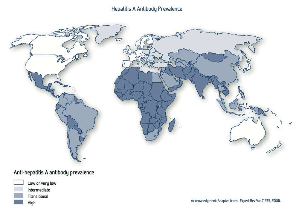 A 型 肝 炎 の 流 行 地 域 推 定 150