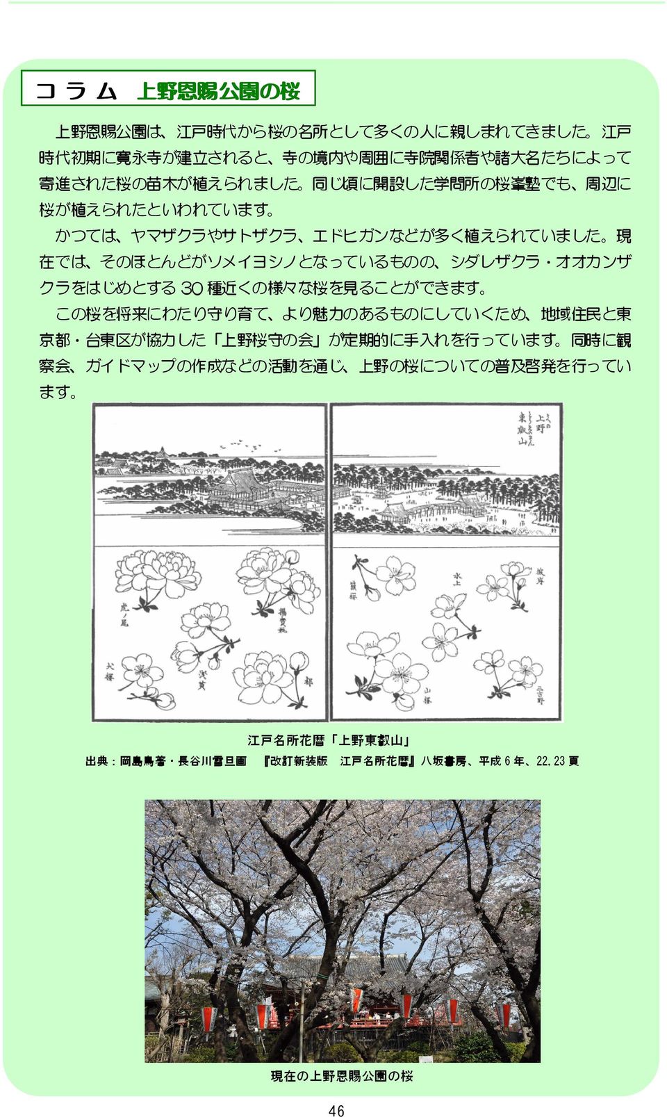 30 種 近 くの 様 々な 桜 を 見 ることができます この 桜 を 将 来 にわたり 守 り 育 て より 魅 力 のあるものにしていくため 地 域 住 民 と 東 京 都 台 東 区 が 協 力 した 上 野 桜 守 の 会 が 定 期 的 に 手 入 れを 行 っています 同 時 に 観 察 会 ガイドマップの 作