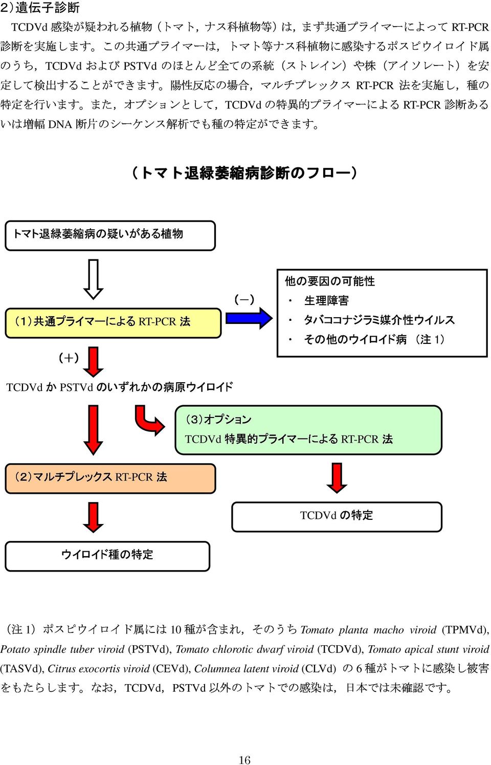 その 他 のウイロイド 媒 介 病 性 ウイルス TCDVdかPSTVdのいずれかの () 病 原 ウイロイド ( 注 1) プライマーによるRTPCR (3)オプション 法 特 異 的 法 TCDVd プライマーによるRTPCR ウイロイド 種 の 特 定 定 (2)マルチプレックスRTPCR ( 注 1)ポスピウイロイド 属 種 が 含 以 外 のトマトでの 感 染 は, 日 本 では