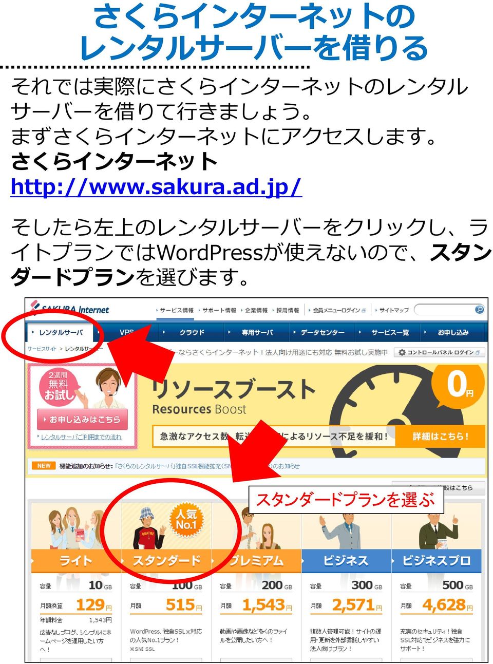 http://www.sakura.ad.
