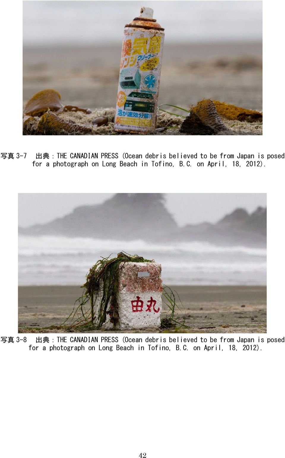 写 真 3-8 出 典 :THE CANADIAN PRESS (Ocean debris believed to be from Japan is