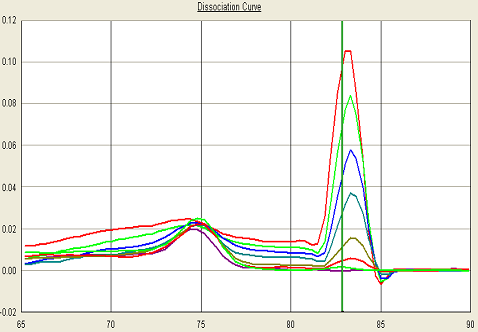 SYBR Green PCR 正 確 Assay な 定 量 結 果 を 得 る 為 に 非 特 異 的 産 物 の 生 成 の 確 認 (Dissociation の 作 成 ) Curve 一 見 高 コピー 領 域 で 定 量 できているように 見 受
