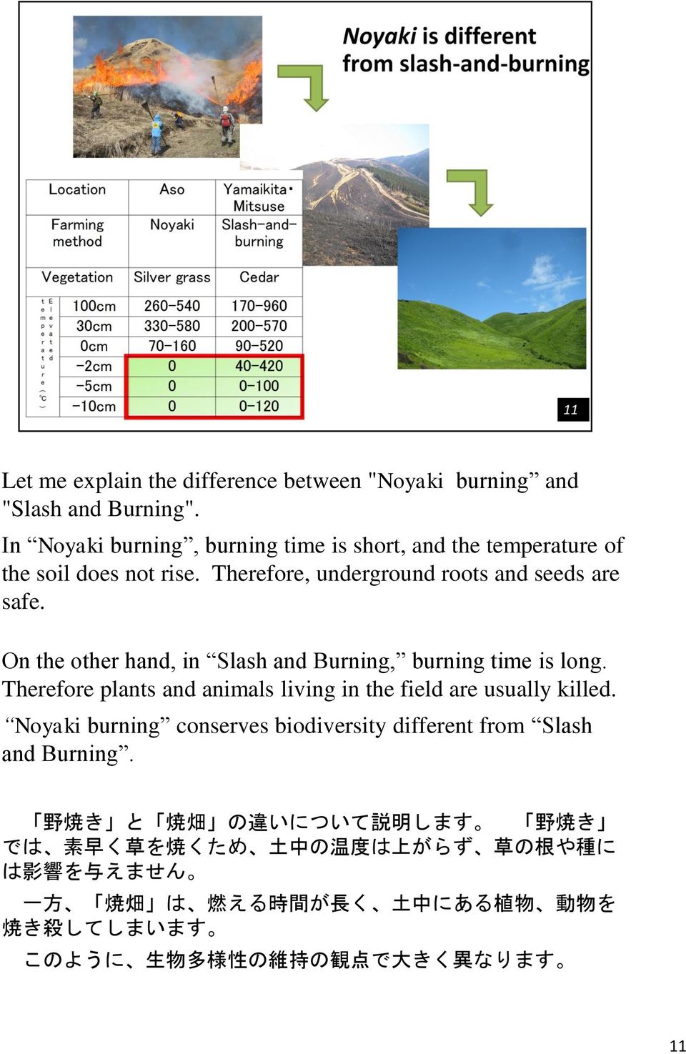On the other hand, in Slash and Burning, burning time is long. Therefore plants and animals living in the field are usually killed.
