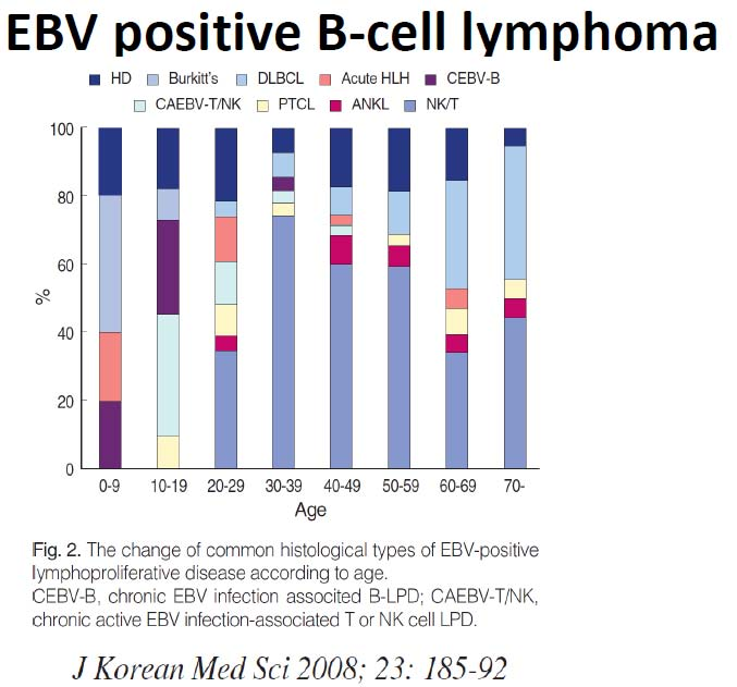 特殊な DLBCL として 7 種類が代表的である 図 14 CD5 陽性 DLBCL は予後不良である 血液腫瘍科から引用