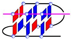 [3+1] ybrid 型の G- 四重鎖構造は T- loop 形成において安定な構造であることを提唱 (2008) [3+1] ybrid 型の G- 四重鎖構造 ゲルシフト解析 K