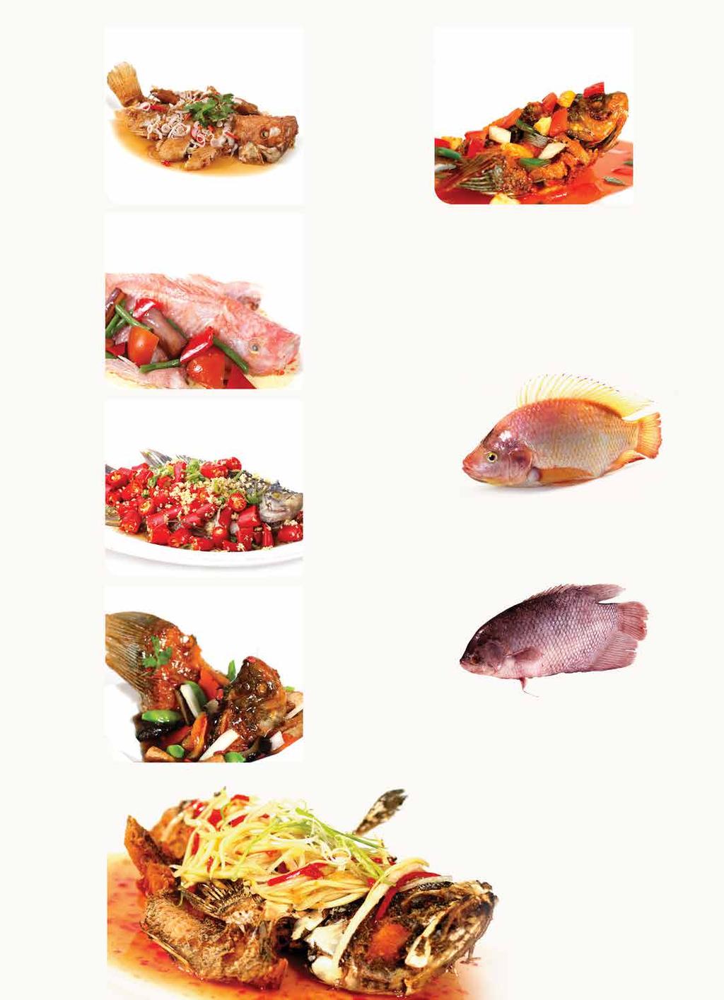 Method of Cooking 泰式炸 Fish A la Thai Рыба по-тайски 魚のタイソース風がけ Live Fresh Water Fish 马来风味 Fish in Malaysian Sauce 酸甜酱 Рыба с малайским соусом (на пару,с помидорами, балажанами, чили и зелеными