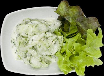 6 Gurkensalat mit Dillyoghurt Dressing Cucumber salad in dill yogurt dressing สล ดแตงกวาในน าสล