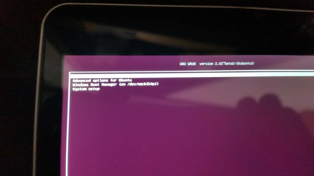 Install ISO for Ubuntu 16.04 Boot Override UEFI USB on UEFI.