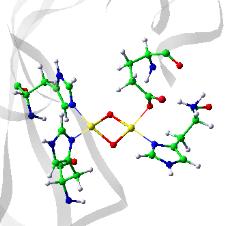 量子化学計算から求めた膜結合型メタンモノオキシゲナーゼの銅二核活性サイトの構造 Resting state" Bis(µ-oxo)Cu II Cu