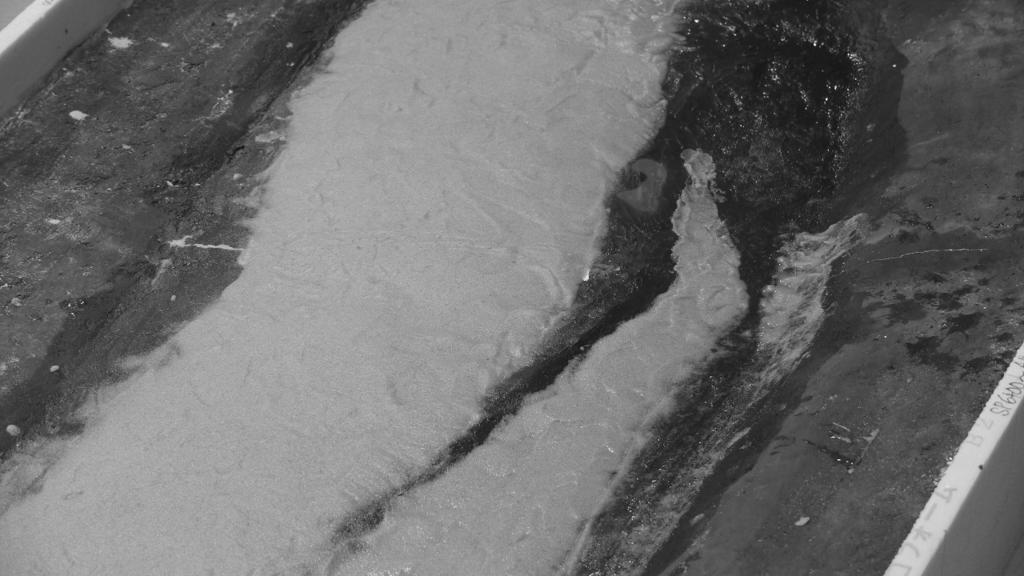 図-7 河道横断形状 降雨出水後と融雪出水後 (1)低水路満杯流量QP=350 m3/s通水時 2010年8月の初期状態 上 (2) QP=200 m3/s通水時 全ての流量を通水後 下 写真-4