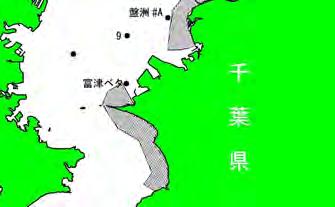 情報提供を行なうのに必要なモニタリング手法を確立する () 試験等の方法東京湾において冬季ケイ藻赤潮が発生する時期を中心にケイ藻赤潮調査を実施し, ノリ色落ち原因プランクトンの出現状況や栄養塩環境などを定期的に把握する また, 東京湾内におけるシャットネラ属プランクトンの発生状況及びシストの分布状況を把握する 平成 年度計画及び結果 () 目的 東京湾において,