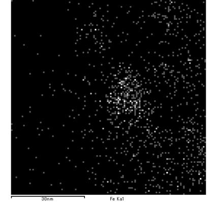 4-1-3 ダイヤモンドナノ構造体 先端の微粒子の TEM 像 (EDS マッ ピング ) 図 4.