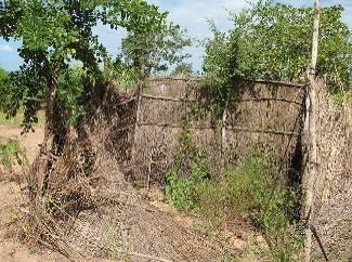 3 既存の排泄場所 壊れた竹柵があるのみです A única casa de banho existente,