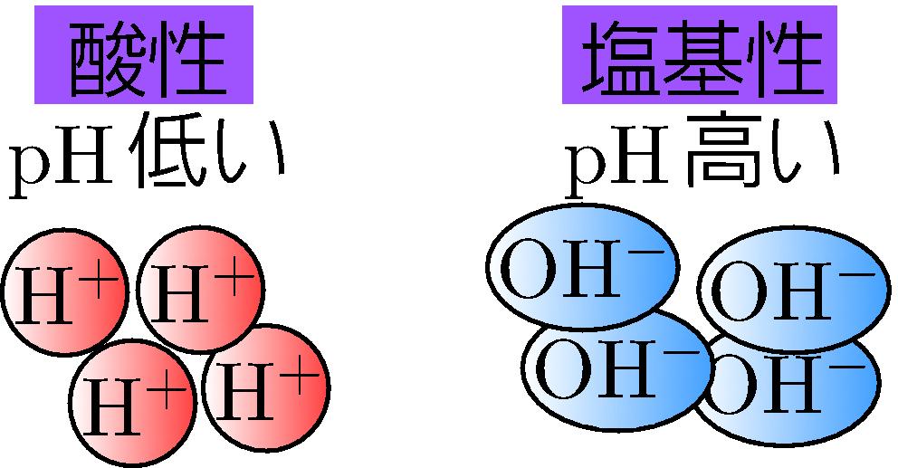 p H 化学 Ⅱ 用 中性は 7, それ以下酸性, それ以上塩基性 [H + ] は水素イオン濃度 mol/l のこと ph = log 10 [H + ] 水のイオン積 [H + ][OH ] = 1.