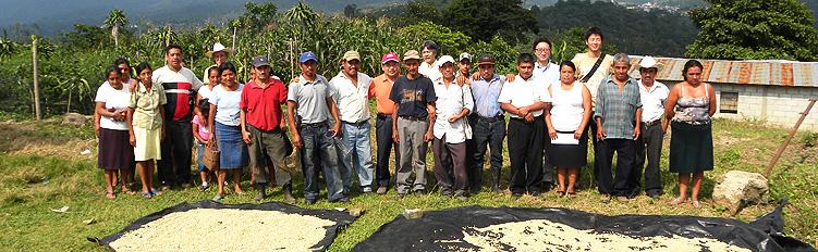 コーヒーは エチオピアなどアフリカ東部が原産地とされ 16 世紀頃から スペイン他の先進国の人々に嗜好が広がり 中南米など当時植民地であった熱帯各国で農作が進められました 熱帯の途上国で栽培され 先進国で消費されるという構図から CSR の観点で注目されている作物です 伊藤忠商事が取扱う世界各国のコーヒーの中で