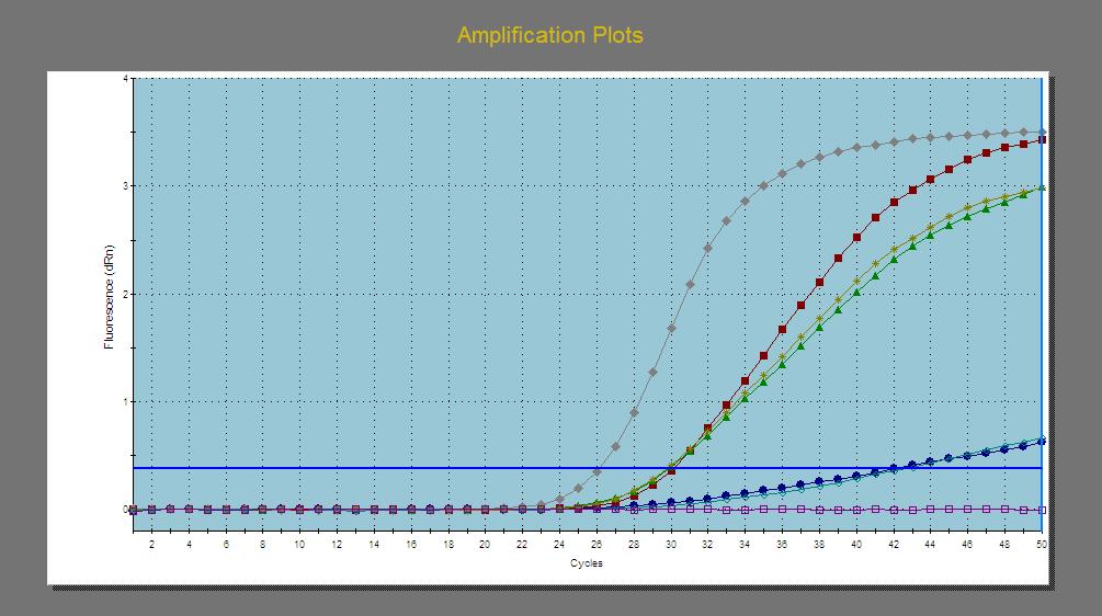 Amplification plot Amplification plot FAM VIC amplification plot FAM amplification