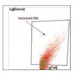 クラスターのサイズは顕微鏡で測定されました (A 及び B) BioSorter の Flow rate は 100 events/second です 分離した細胞 はクラスターのバイアビリティーは 2 間培養後に alkaline