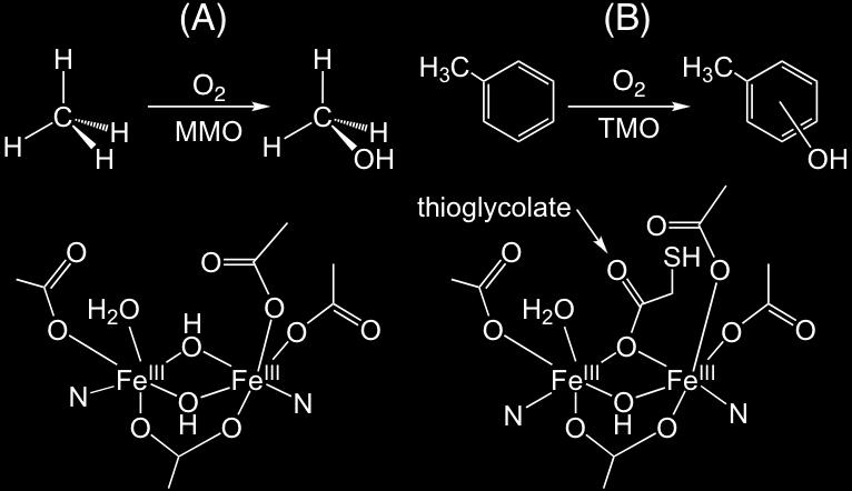 様式 C-19 F-19 Z-19( 共通 ) 1. 研究開始当初の背景アルカンやアレーン類の水酸化反応は現代化学で最も難しく重要な酸化反応のひとつである 生体系では, 非ヘム型二核鉄酵素であるメタンモノオキシゲナーセ (MMO) やトルエンモノオキシゲナーゼ (TMO) が, 二核鉄中心により酸素分子を活性化して, これらを温和な条件下 ( 常温 常圧 ) で, いとも簡単に酸化している.
