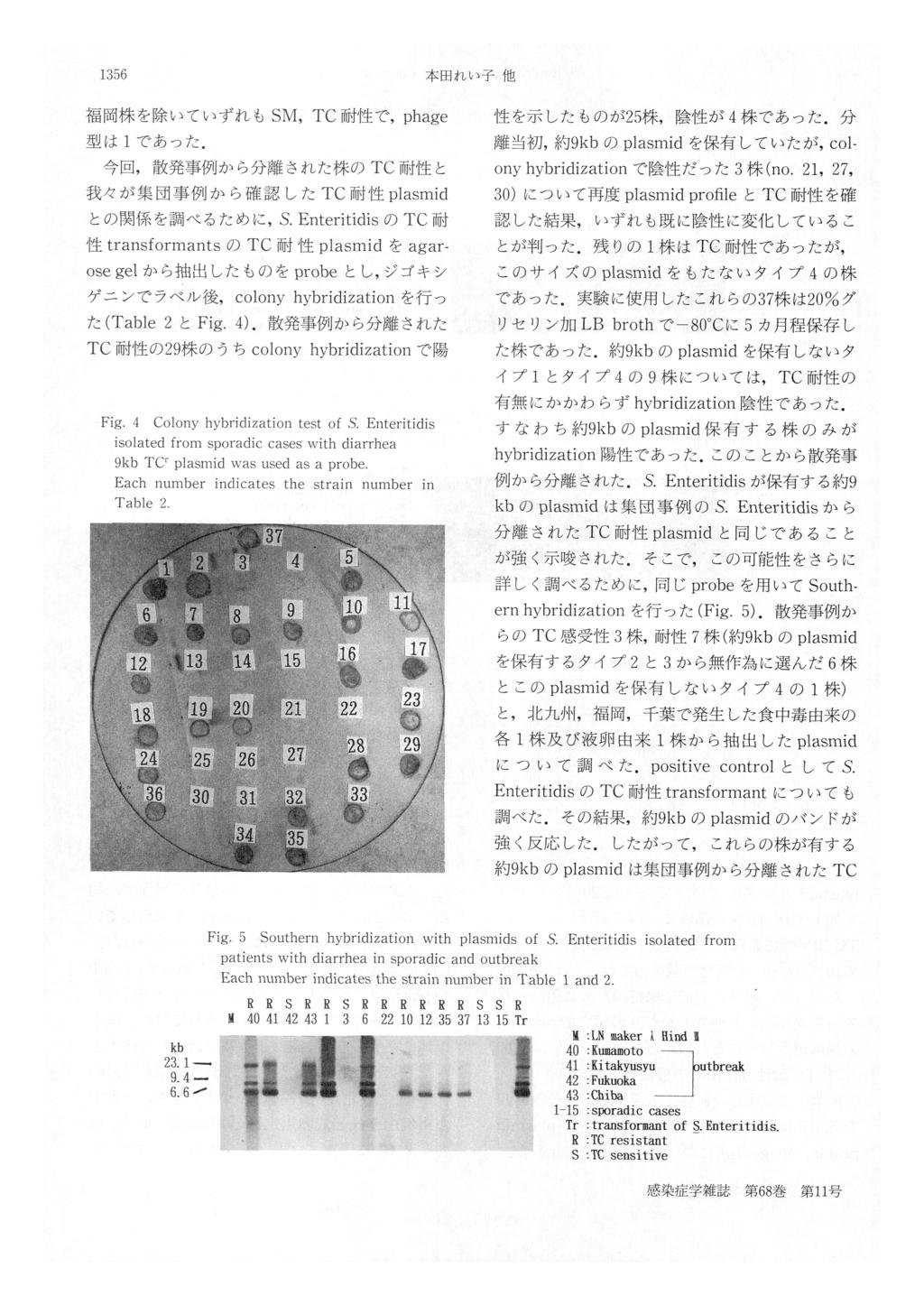 1356 本 田れ い 子 他 福 岡 株 を 除 い て い ず れ もSM,TC耐 型 は1で 性 で,phage 性 を 示 し た も の が25株,陰 あ っ た.