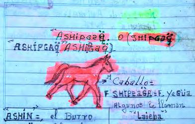 59 5 (caballo) (iii) 2016 2 13 (1) (2)