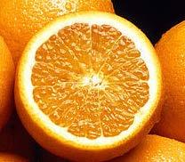 オレンジ ( 生果 ) について 国産うんしゅうみかんは 既に 輸入オレンジと 2 倍程度の価格差がある中で 食味や食べやすさなどが異なることから 差別化が図られている オレンジの輸入量は毎年 10 万トン前後で推移しており 輸入価格が下がった際にも輸入量は増えていない 輸入量の 6 割は米国が占めており EU からの輸入は 1% 未満とごくわずかである