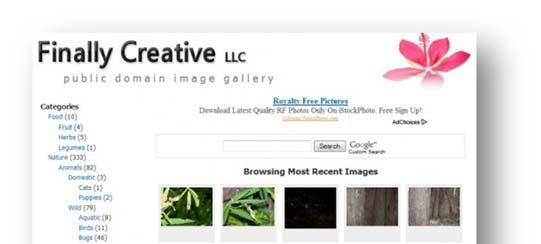 Finally Creative LLC