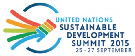 持続可能な開発サミット 持続可能な開発サミット 2015 年ニューヨーク 持続可能な開発のための 2030 Agenda 目標 3:2030 年迄に 有害化学物質 並びに大気