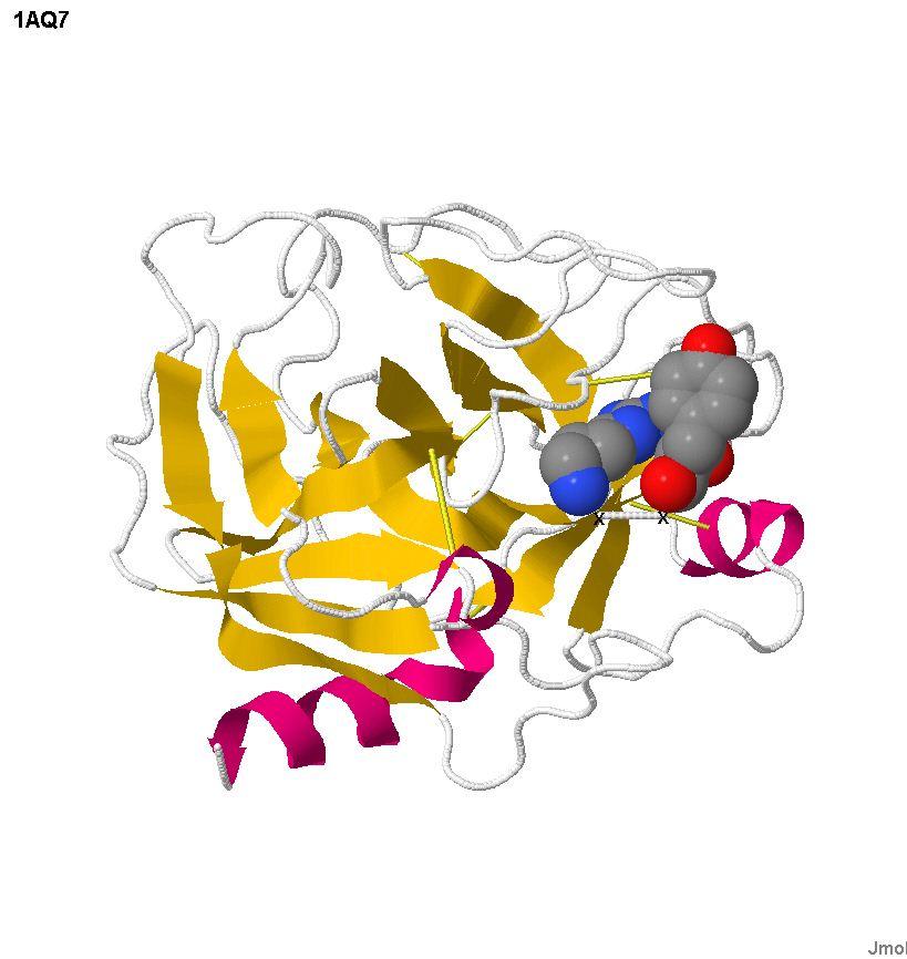 図 5 ウシのトリプシンの立体構造 これも活性部位に阻害剤が結合している アミノ酸配列の相同性はヘモグロビンよりも低かったが 立体構造は良く似ていることが分かる このような立体構造をとることにより 上に述べた活性部位を形作る 3 つのアミノ酸 3 番目のヒスチジン H 107 番目のアスパラギン酸 D 200 番目のセリン S がお互いに近づき 電子の流れが起こってセリンに供給され