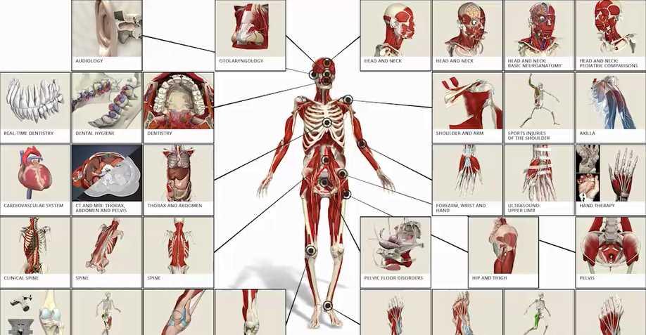 Primal Pictures とは 人体の 3 次元立体画像など高精細な視覚的コンテンツを掲載するオンラインデータベース 人体組織のあらゆる部分を提供する豊富なコンテンツを収録 解剖画像のほか 動画