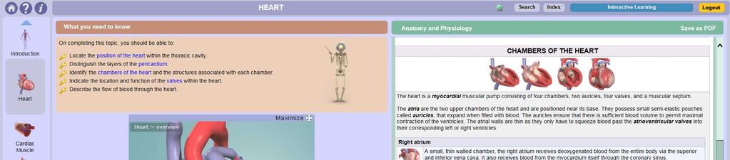モジュール選択ページ /Human Anatomy & Physiology ページ構成 ( 例 :Cardiovascular System) 学習の進め方