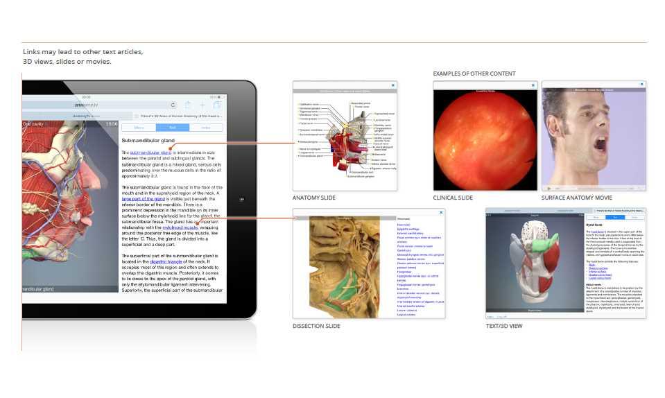 ipad 版 /3D Atlas of Human Anatomy