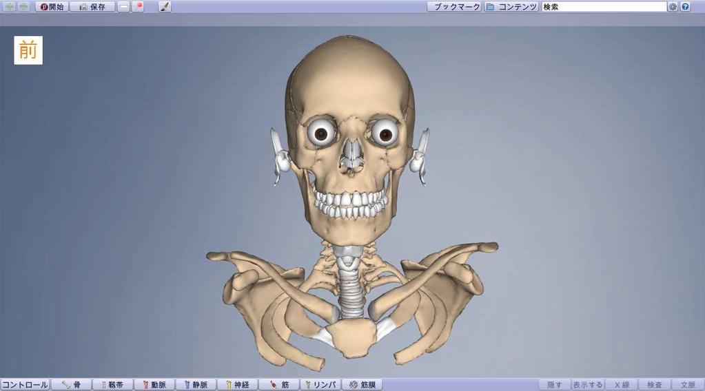 日本語版 /3D Real-Time of Human Anatomy 各機能ボタンのご紹介 利用ガイドの表示