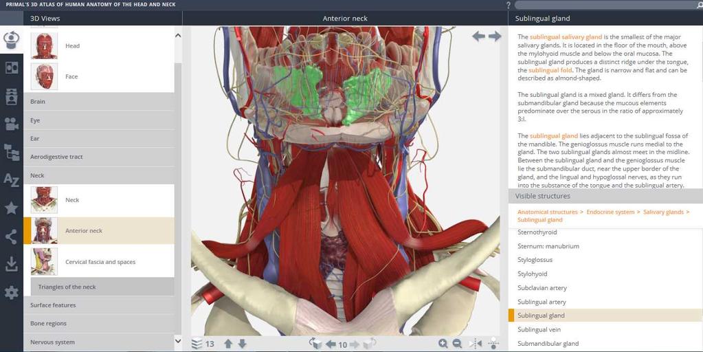 組織名の表示 認識 /3D Atlas of Human Anatomy 画像に表示されている組織名が一覧表示されます
